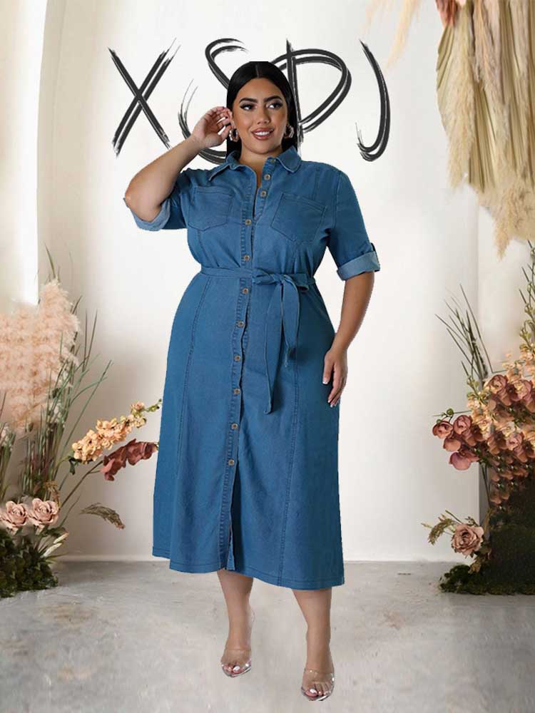 Winter Clothing For Plus Size Women - Chubby Womens Dresses Autumn Winter Elegant